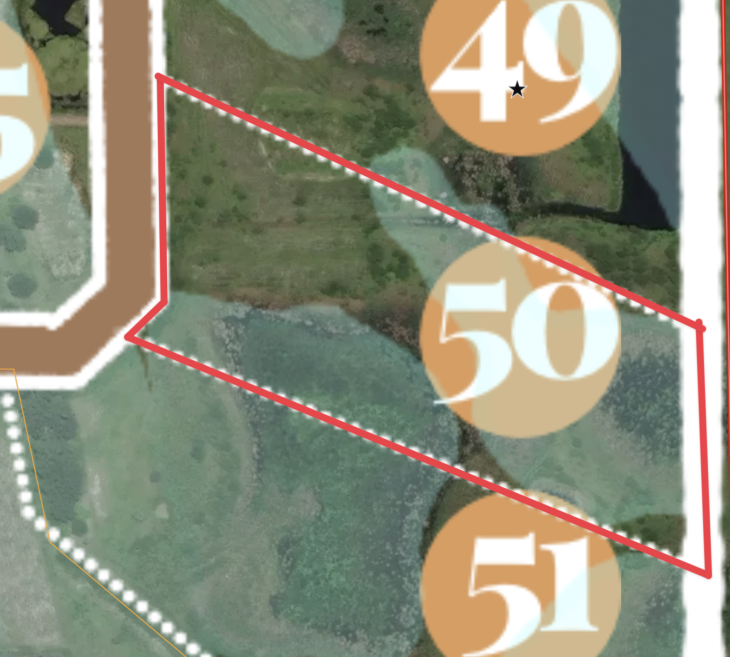 Aerial view of #50