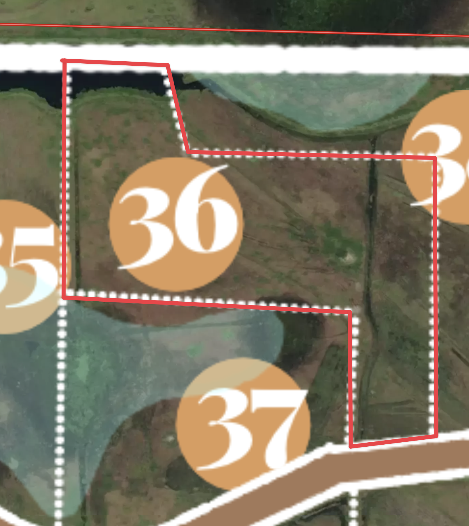 Aerial view of #36